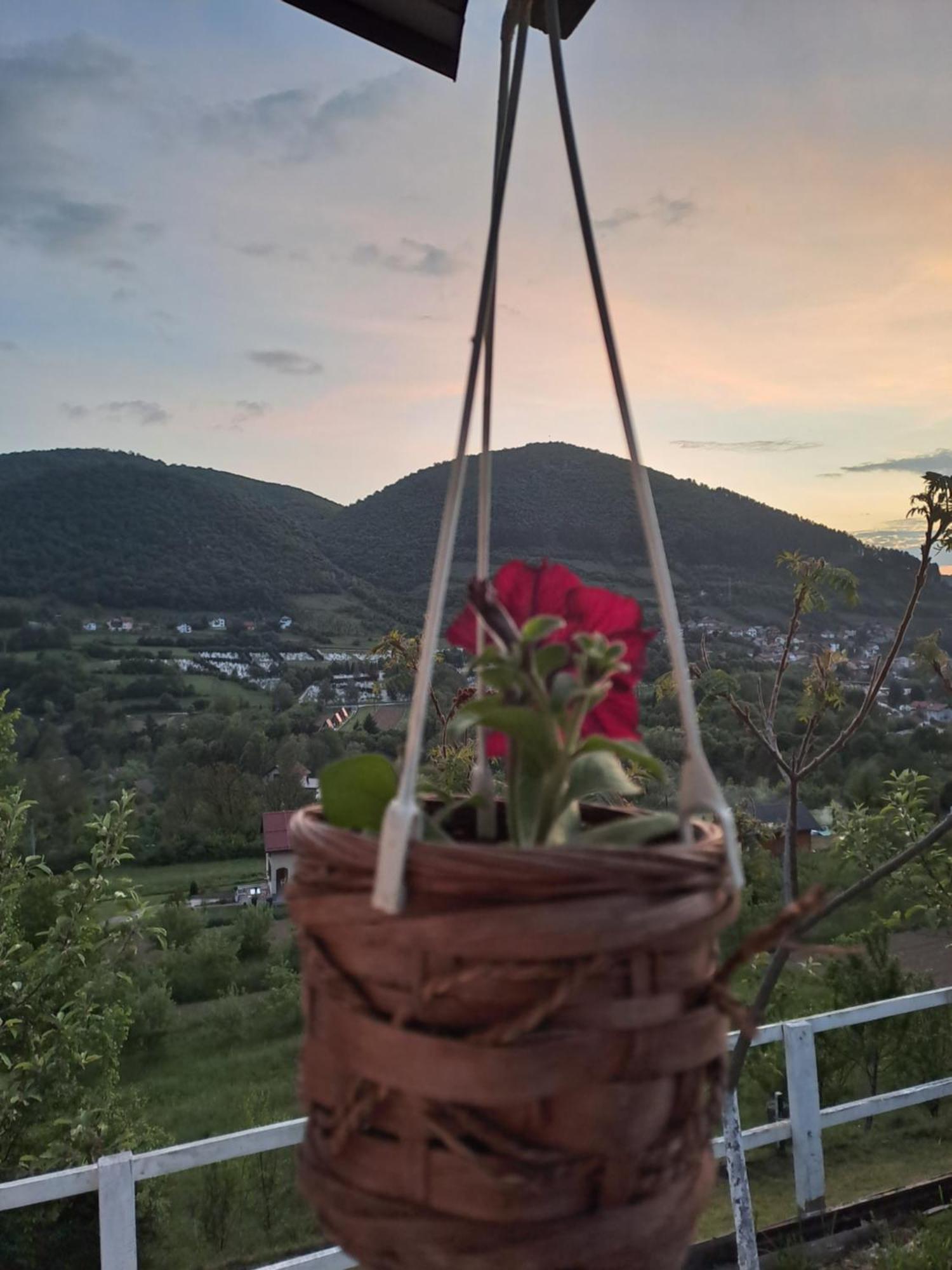 Natural House Високо Номер фото